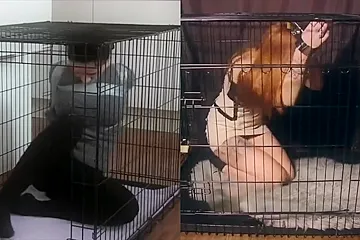 Dog-cage Drama - porn video
