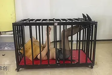 Asian Girl Caged And Box Hooded - porn video