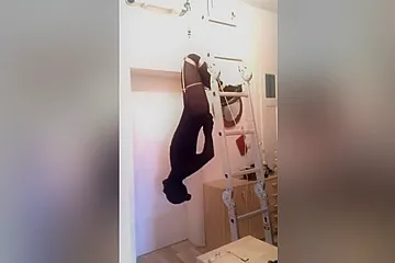 Suspension Bondage In Pantyhose - porn video