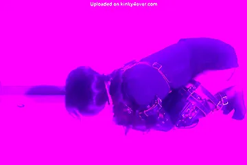 K9高潮吃飯爬行 P3 - porn video