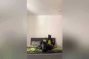 Little Leather Slut - porn video