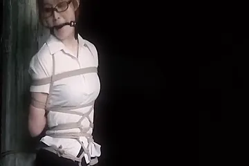 Tomb Raider - porn video